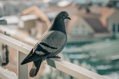 ��̨��ʡ���������ǰ����̸