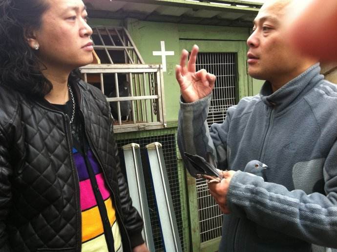 ֧Ԯ���˳��ɼ� ���Լ�����