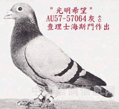 ÿ��һ�룺���Ʒ����õġ��ĺ����̡�