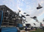 7��δ�� �������վʧ�ܶ�����