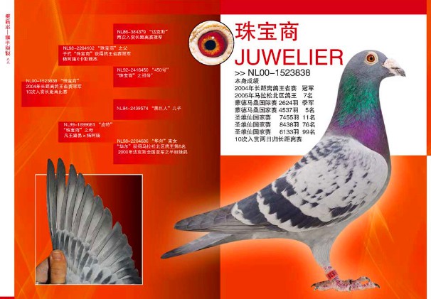 ÿ��һ�룺��ҹ�鳤���������鱦�̡�