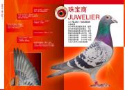 ÿ��һ�룺��ҹ�鳤���������鱦�̡�
