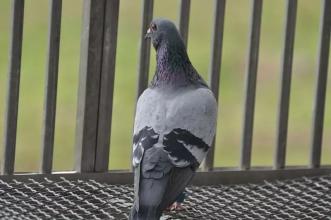 ������������Ӯ���췽ҹ̷