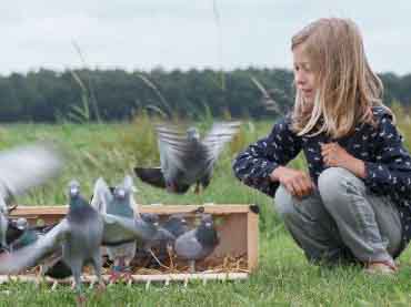 ����NPO������������