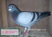 ������С��С��Ů���Ҵ����ϰ�