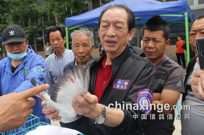 ����Ѻ���־�������ɺ�ս�붥����������