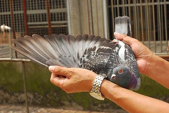 �����治�ã������㾳�粻��