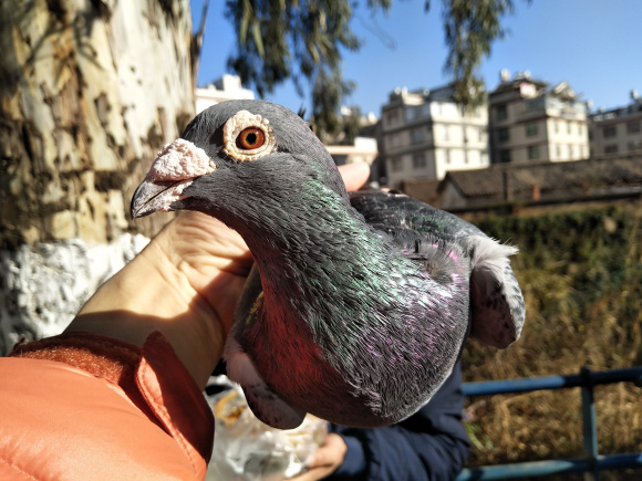 127���� ͨ�� ǳ̸��ǰ�����ļ������ʶ�