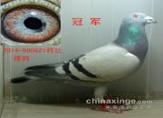 ÿ��һ�룺����������رȹھ�