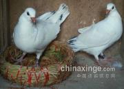 �ٿƳ�֪ʶ���Ÿ����ڼ�����ķ���