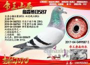 ���ղأ��˸빲���ı���Ʒ