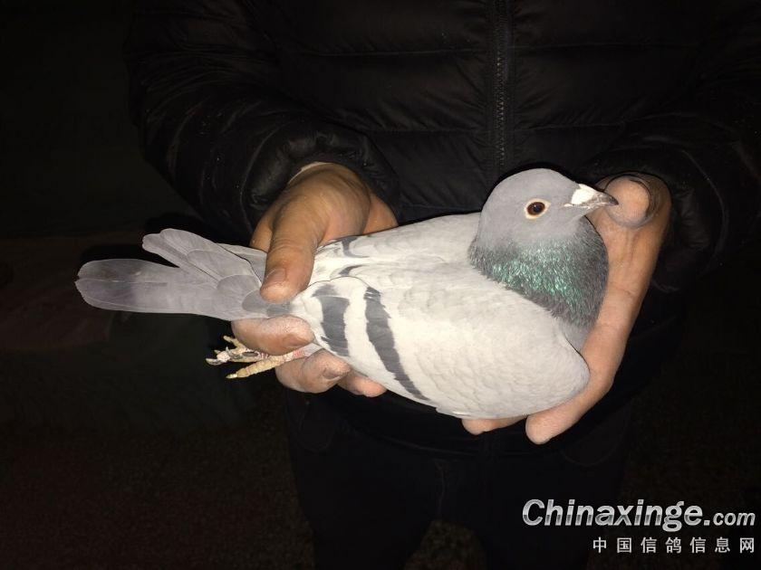 ����òȡ�� ����������۸�