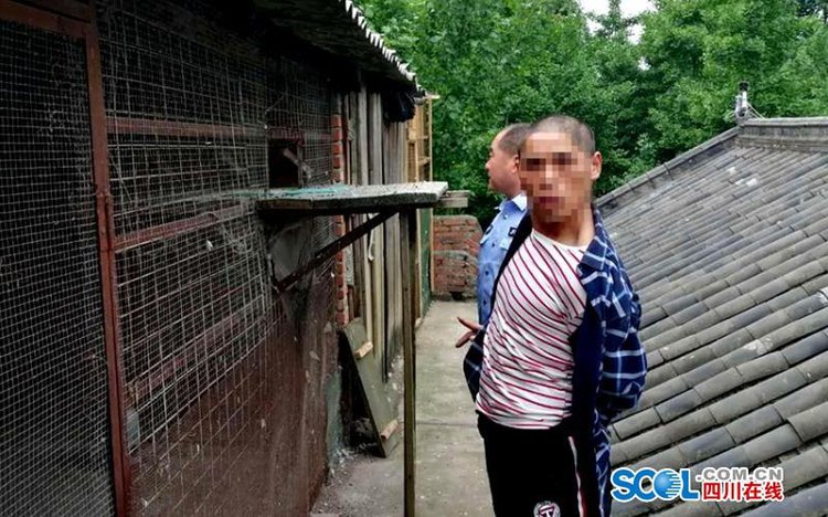 男子夜间爬墙盗鸽 再次作案被抓
