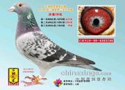 �ĳɼ������ �ֵ��Ϻ����ǰ������