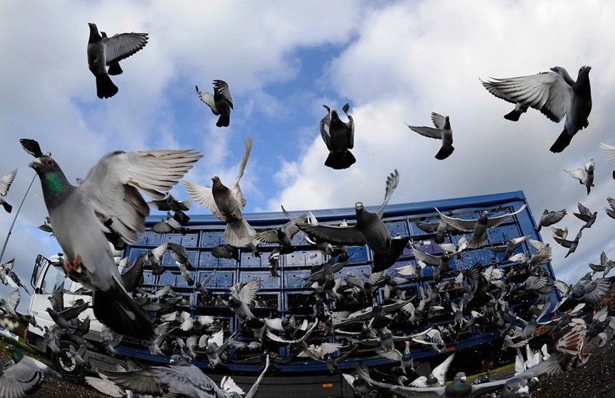 �Ÿ�����ȵ���ʲô��