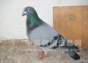 ÿ��һ�룺�Ĵ����������ܹھ�