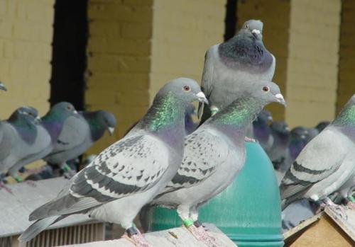 ��һ��Сʱ���� �����Ծ������