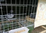 �������� �ܽ��ҵ���������