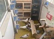 ��̨��� �����������Ե