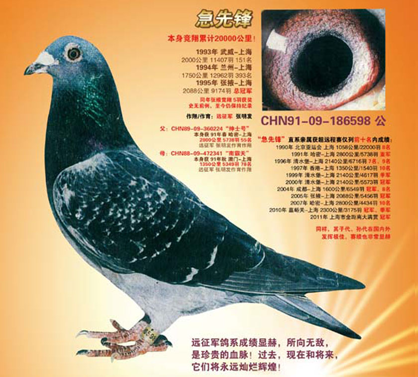 ÿһ룺9174ҴԶ̹ھȷš