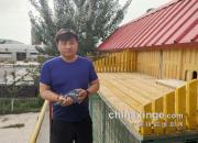 ǰʮ�������½�ʯ�����Ǿ�������