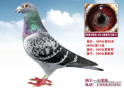 ����Э��ѵ�Ŵ��� С�гɼ���