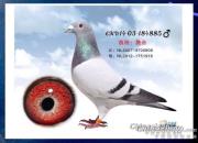 ͽ�ܷ�Ӯʦ�� ն����Ǽ����