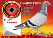 ������ ������ŷ�߿��ջ�����Ǿ�