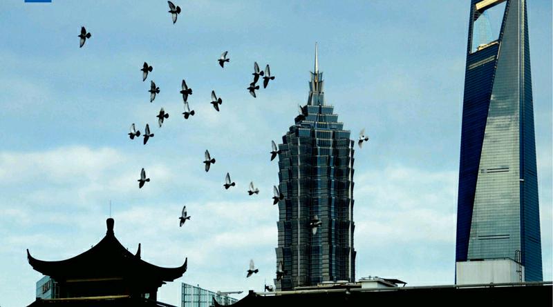 ���ֿ�Ѫͳ���翴�ˣ�