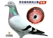 �����״ν��� �ź�û�Ļ���