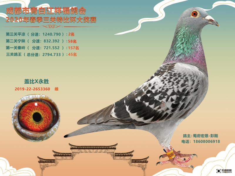 ���������������� ʵսѪϵ��ؿ���