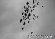 �������һս���ȫʤ Ӯ��ͨ�������Ǿ�