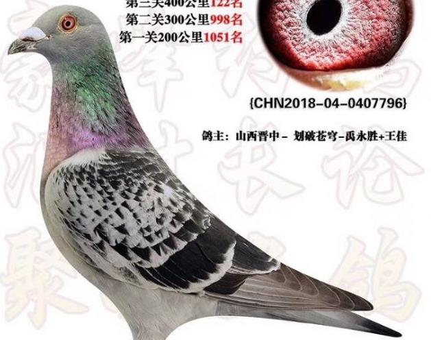 �����߾��磺��Ͷ��߲�������̭