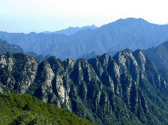 ���������Ҫ����̭��