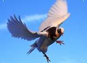 ����˲�䣺������2020��5�¾���ͼƬ 