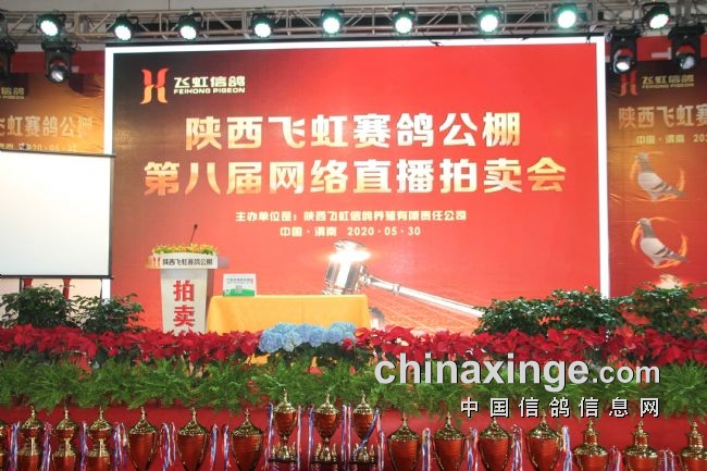 ������������죺�ɺ��������¸ߣ�