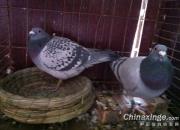 �������� 2021������������