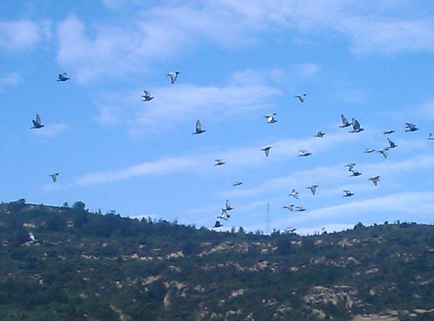 ��Զ���п��ܸ�����