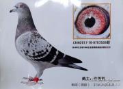 ����1500���������Ǿ�����