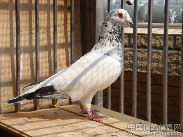 ÿ��һ�룺���֮��������԰ס�