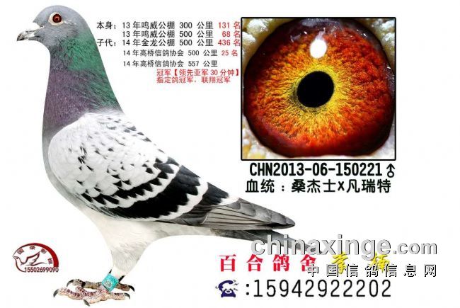 �����������������ظ����ھ�