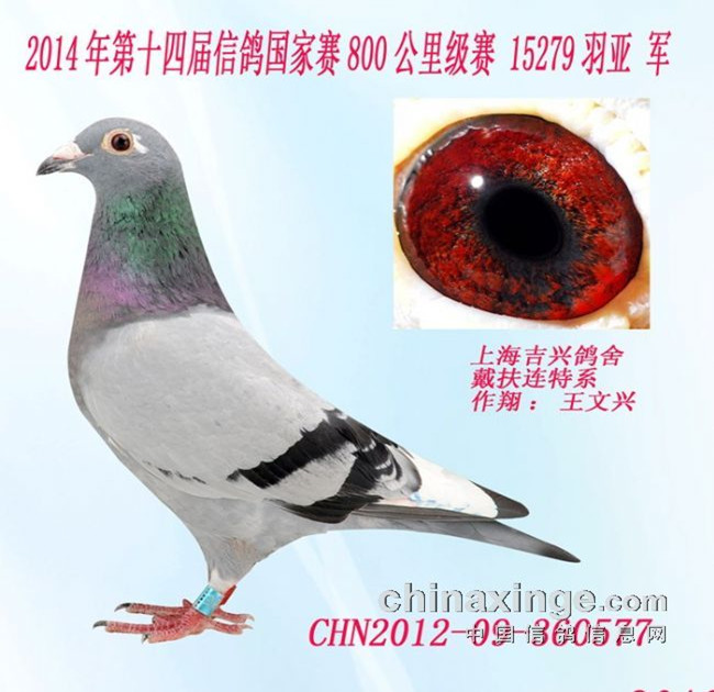 ÿ��һ�룺15279�����Ǿ������꺽�ꡱ