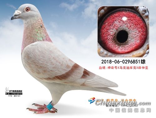 ������Ӿ͵��óɼ�˵��