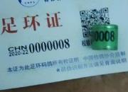 ʦ�����ͳ������� �һ�ɣ��ʿ��������