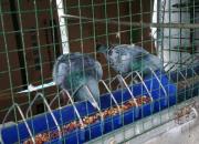 �����ﵽ���� ��������̫����