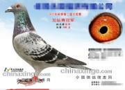 ��������ʧ����һ·��ϵ