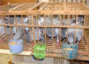 �ٿƳ�֪ʶ��ѹ����ѵ�ſ�ʼ�ĵ�һ��