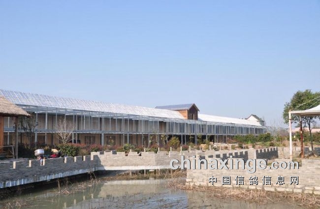 �Ϻ������߳���һ������