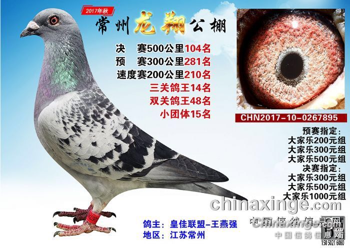 ���������5��3 �����ظ���14��