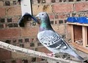 ����ʮ������������ ��ʰ�����ٳ���